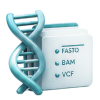 FASTQ, BAM and VCF